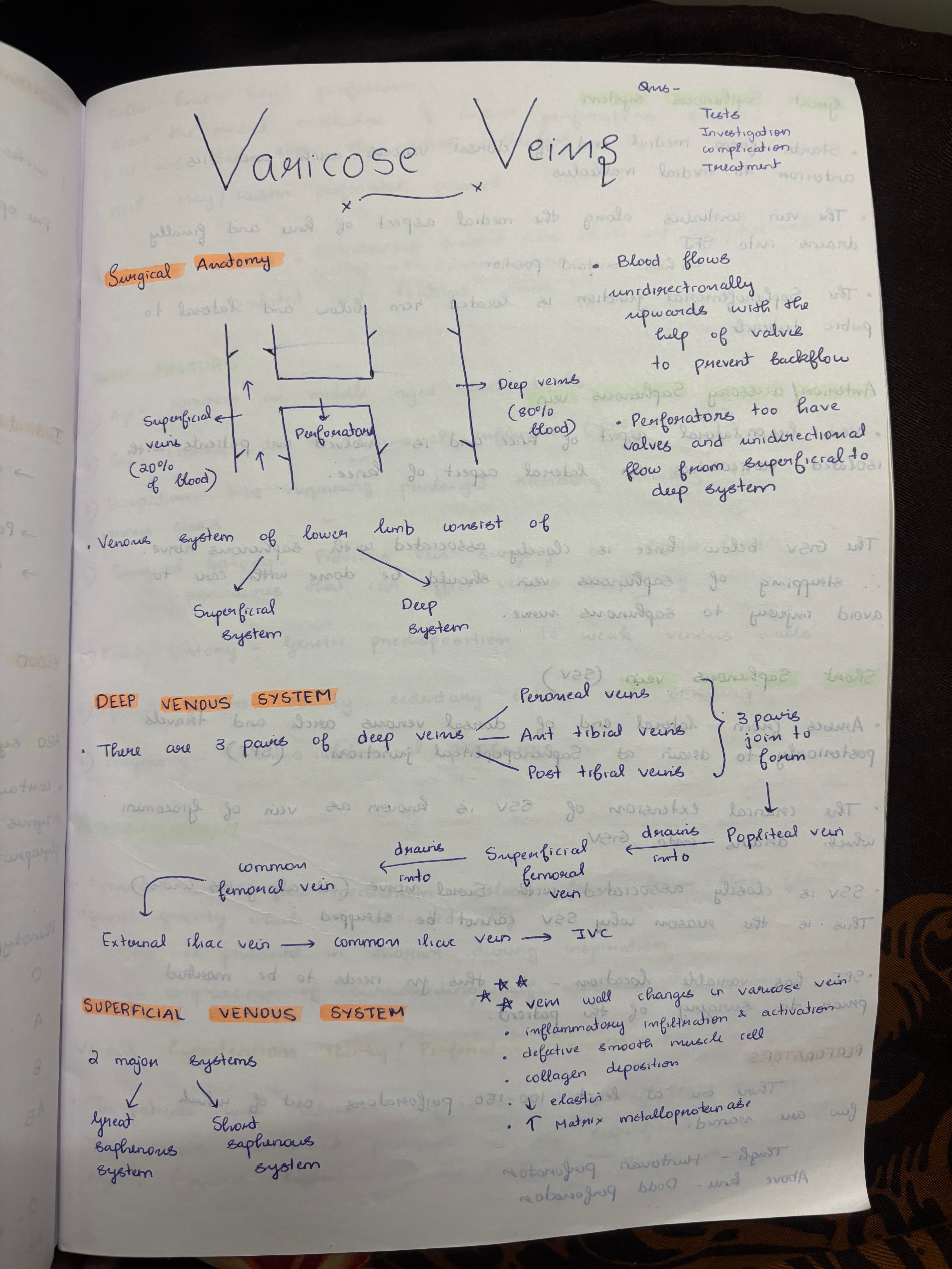 Varicose veins  - Slide 1