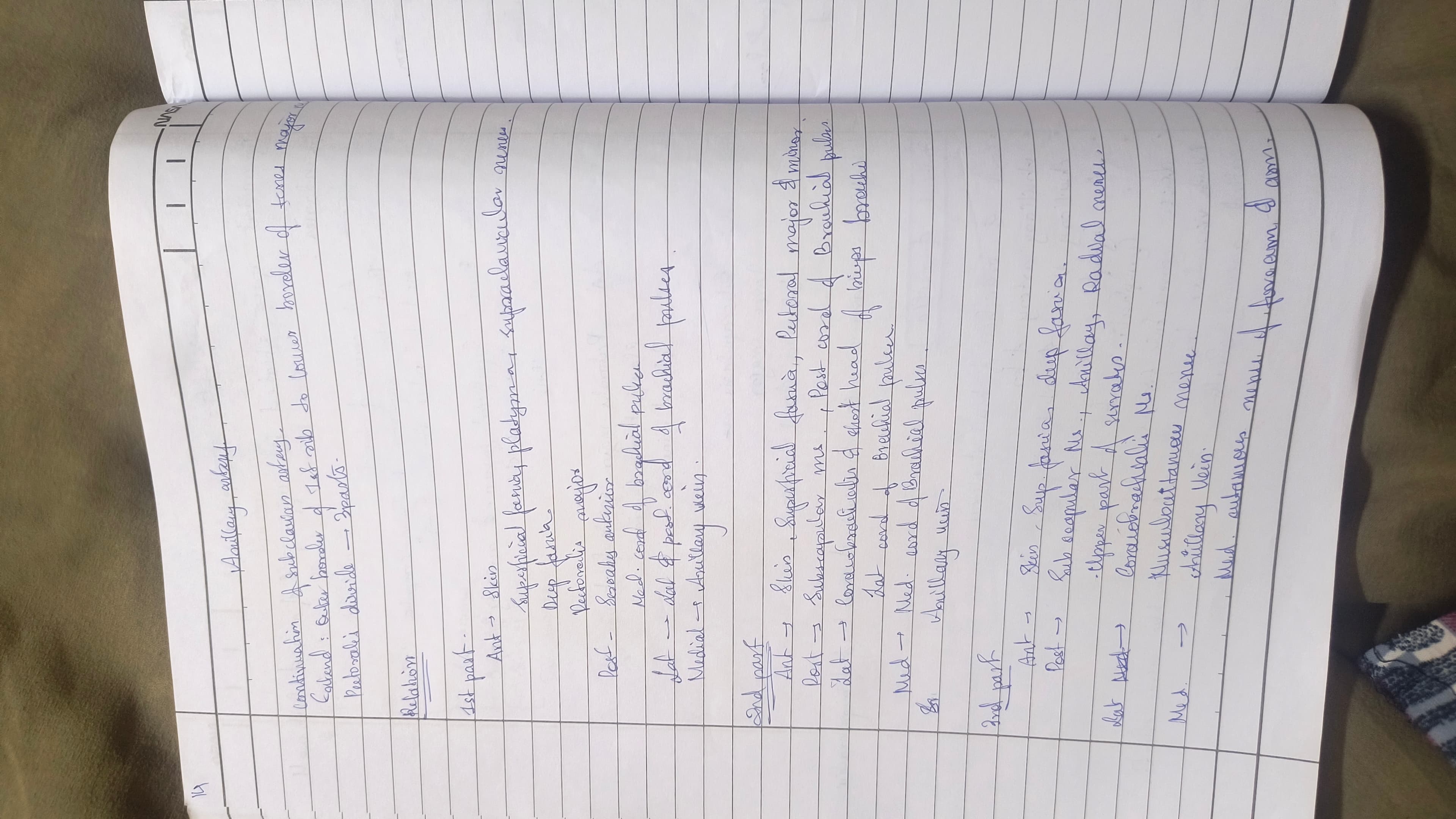 Axillary artery - Slide 1