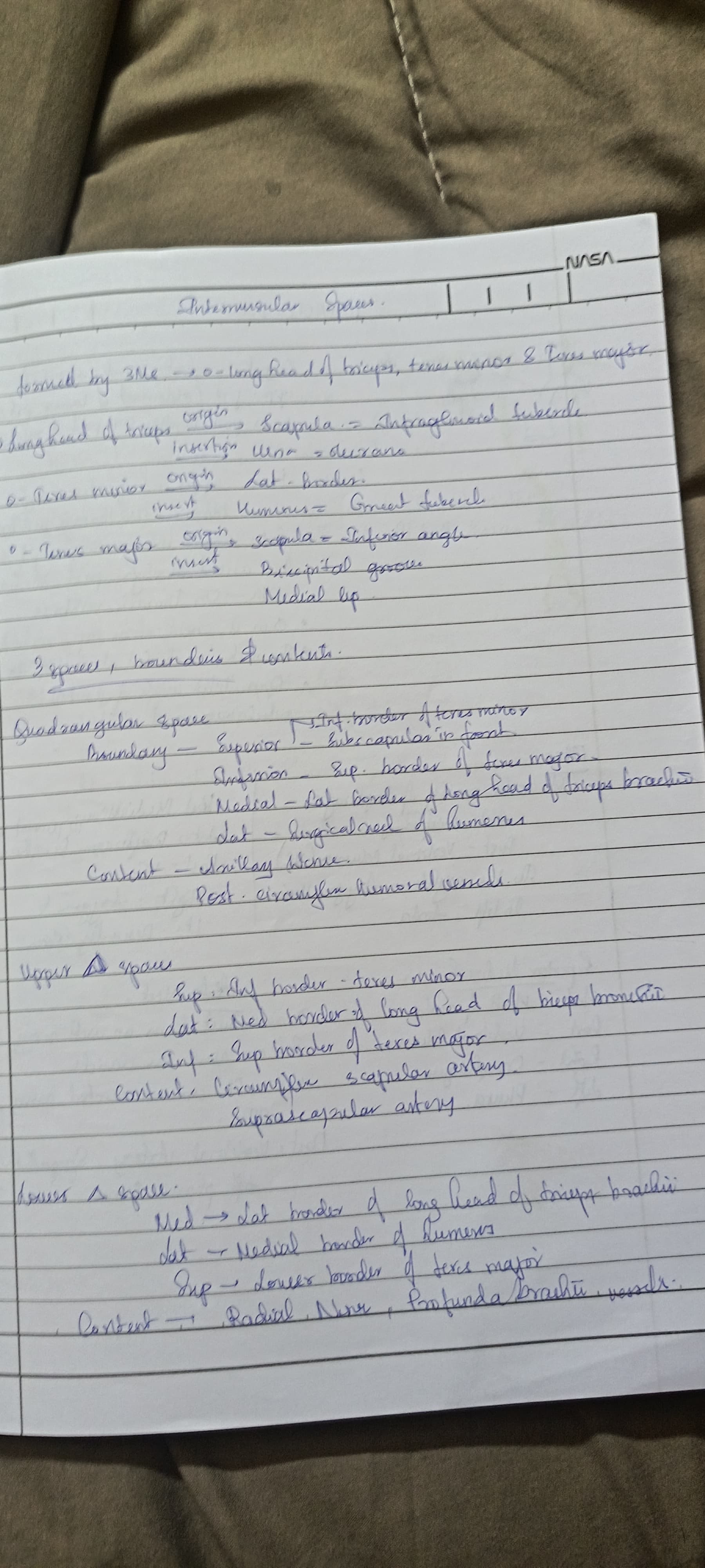 Intermuscular spaces