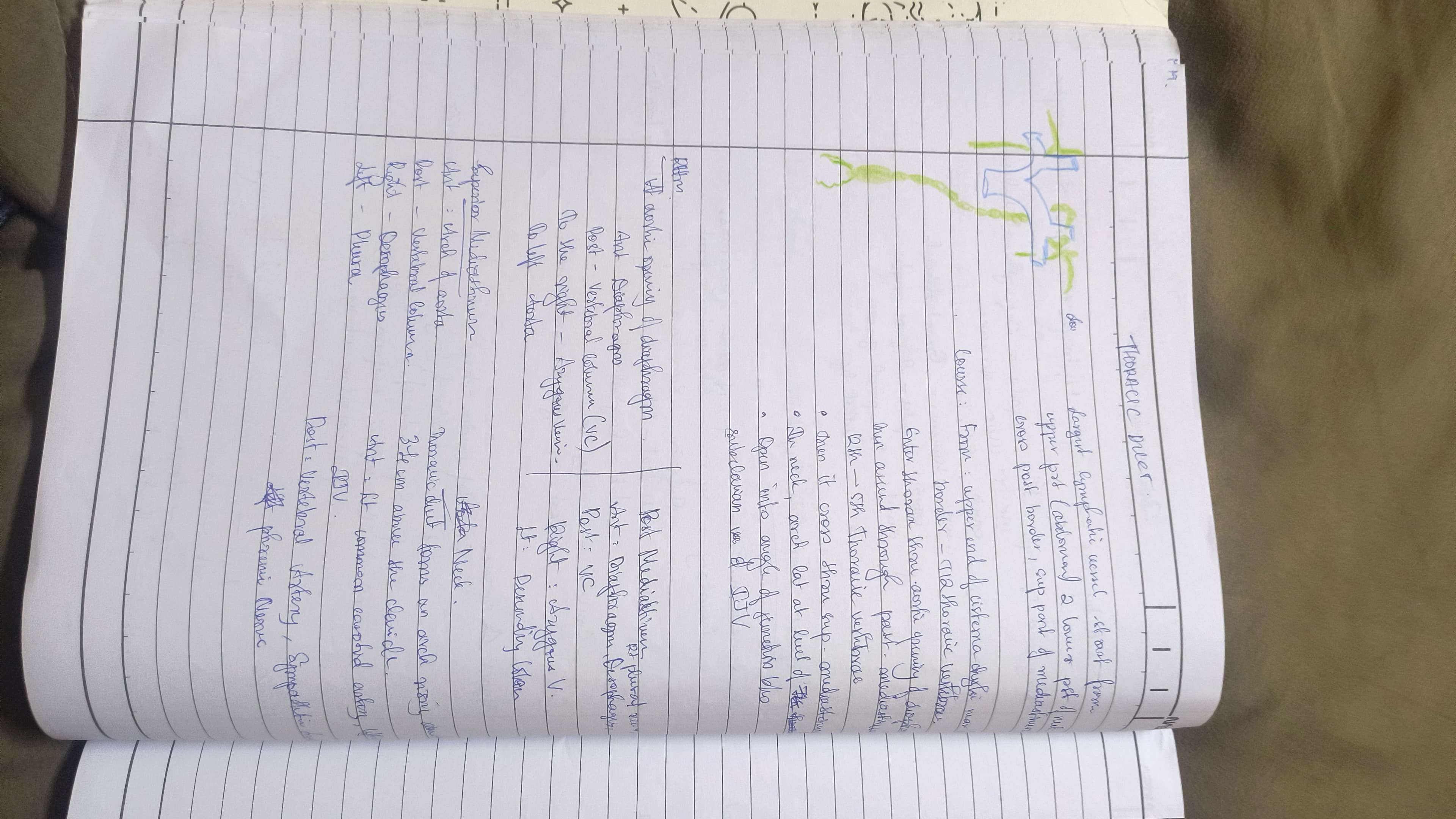 Thoracic duct - Slide 1