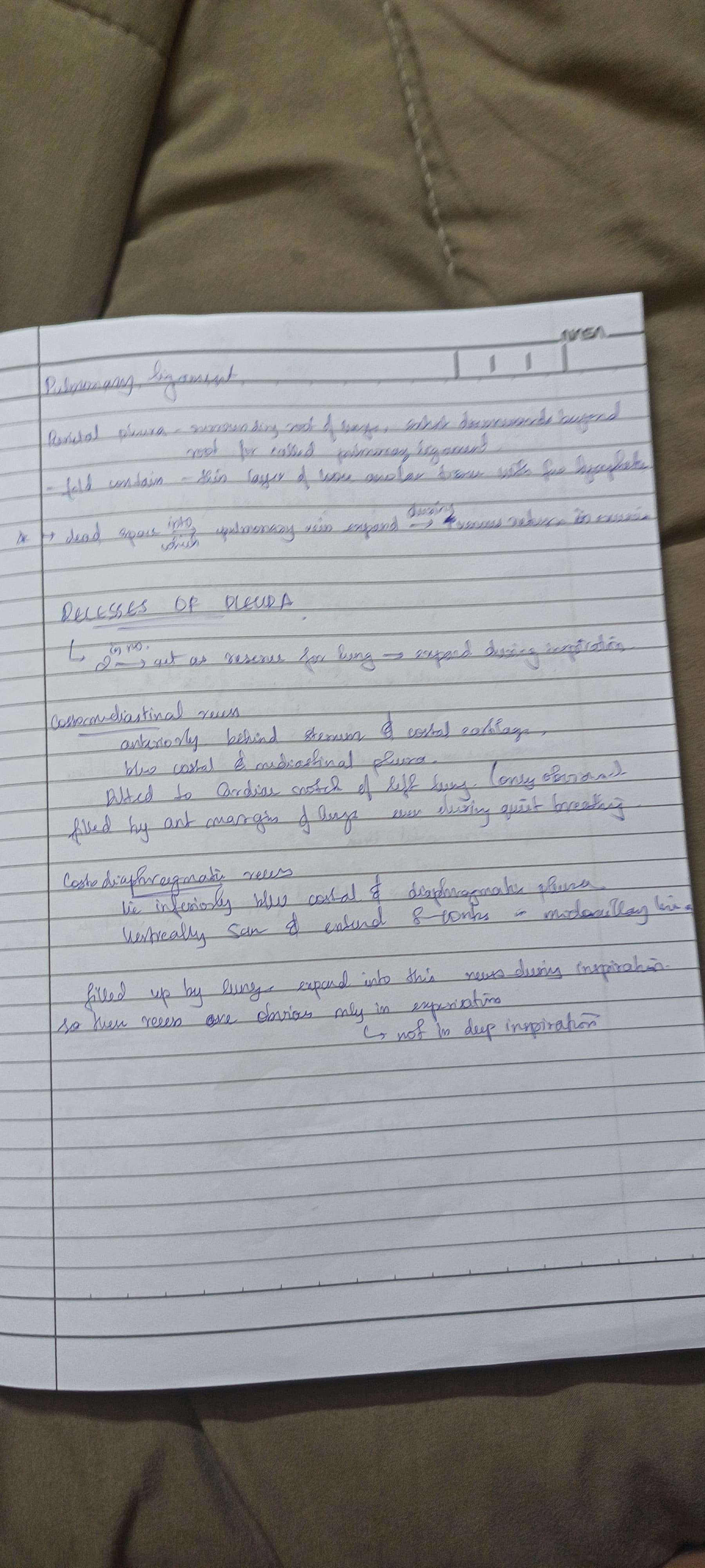 Pulmonary ligament and recess