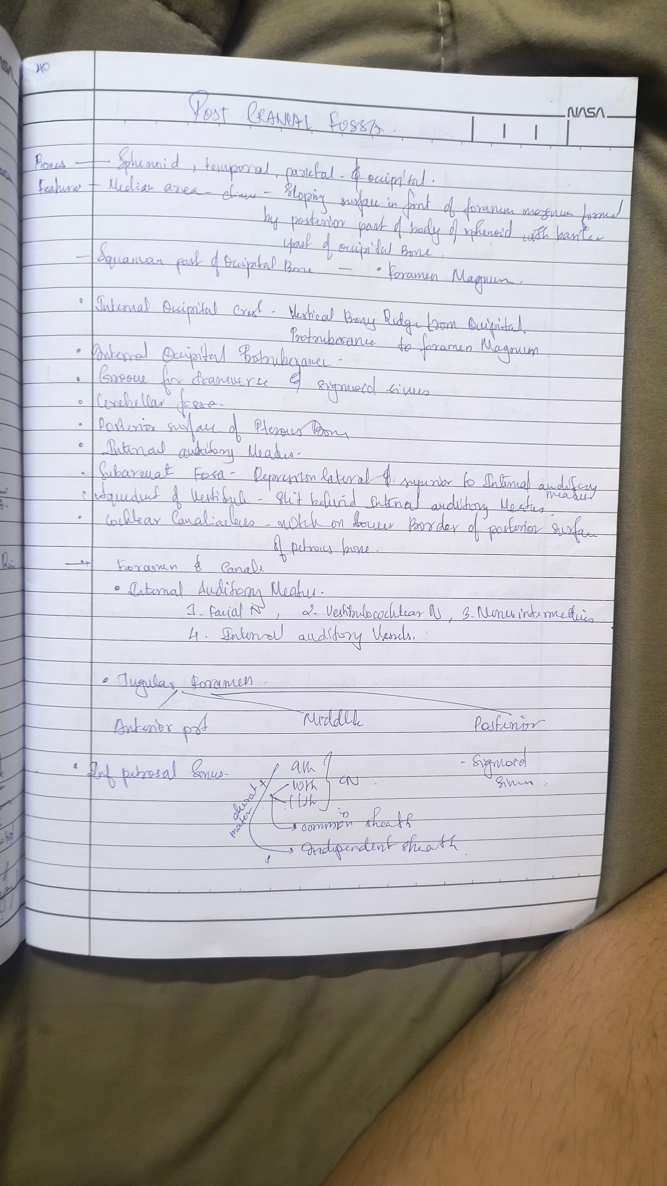 Posterior cranial fissa