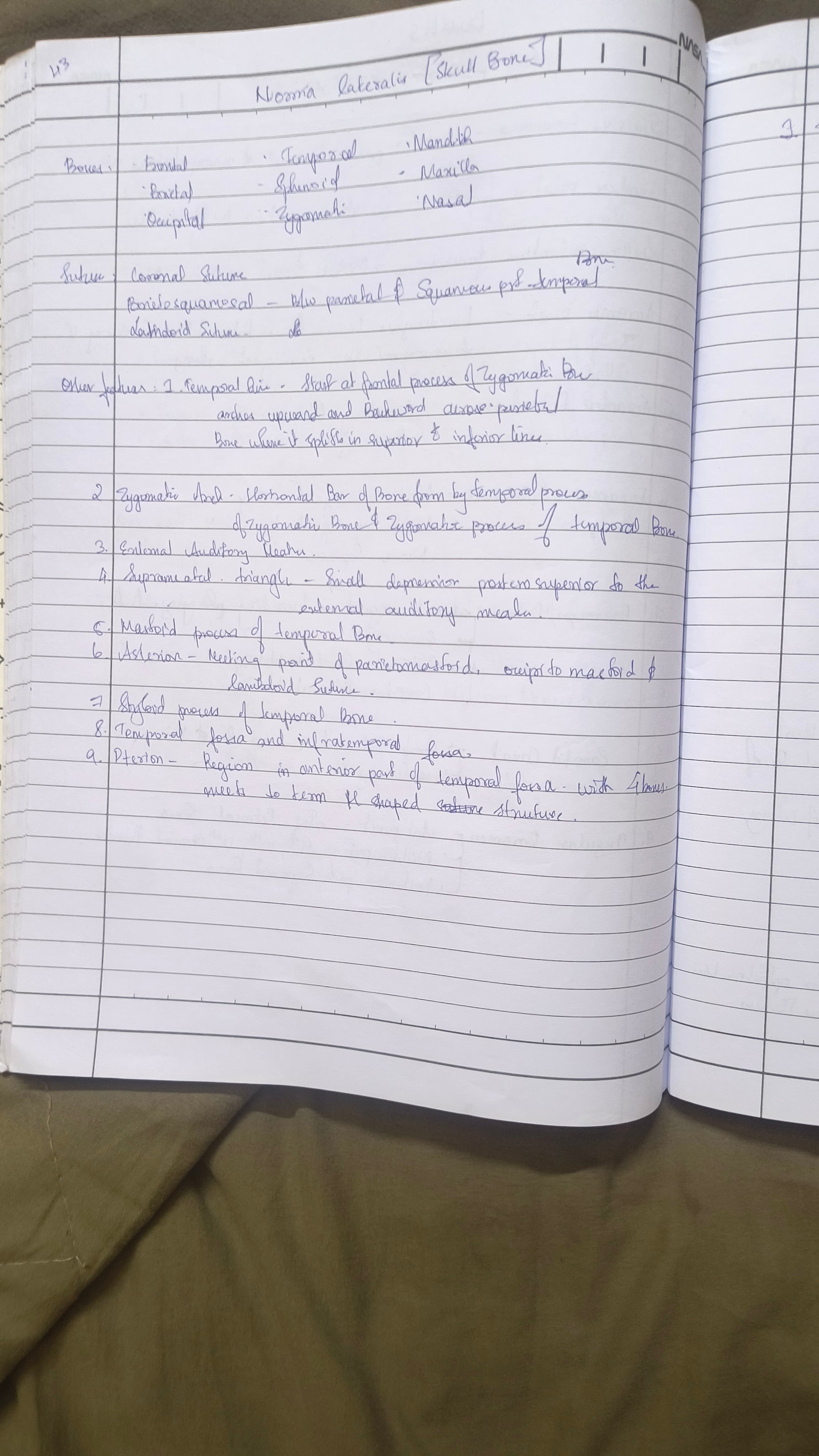 Normal lateralis 