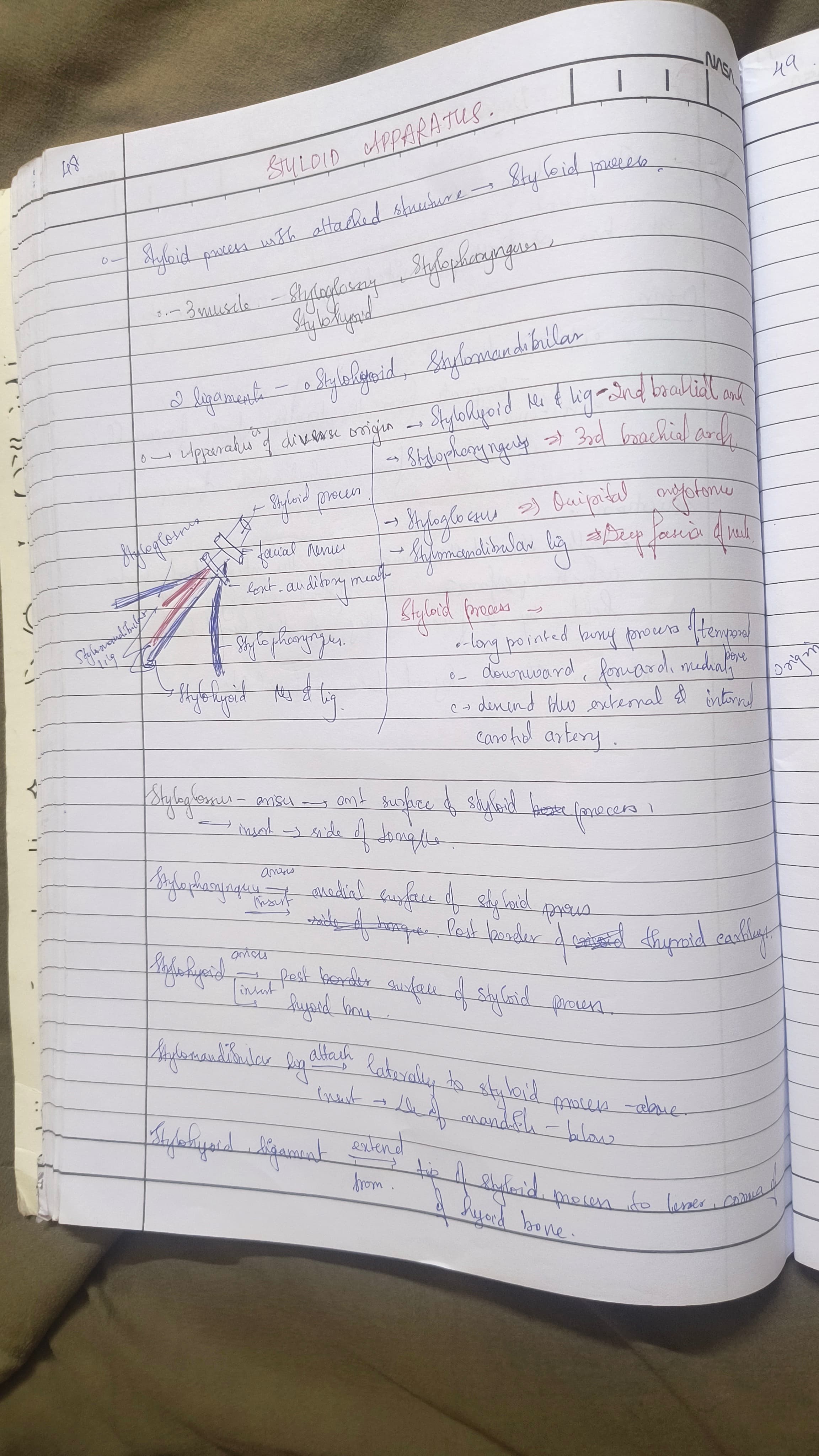 Styloid apparatus 