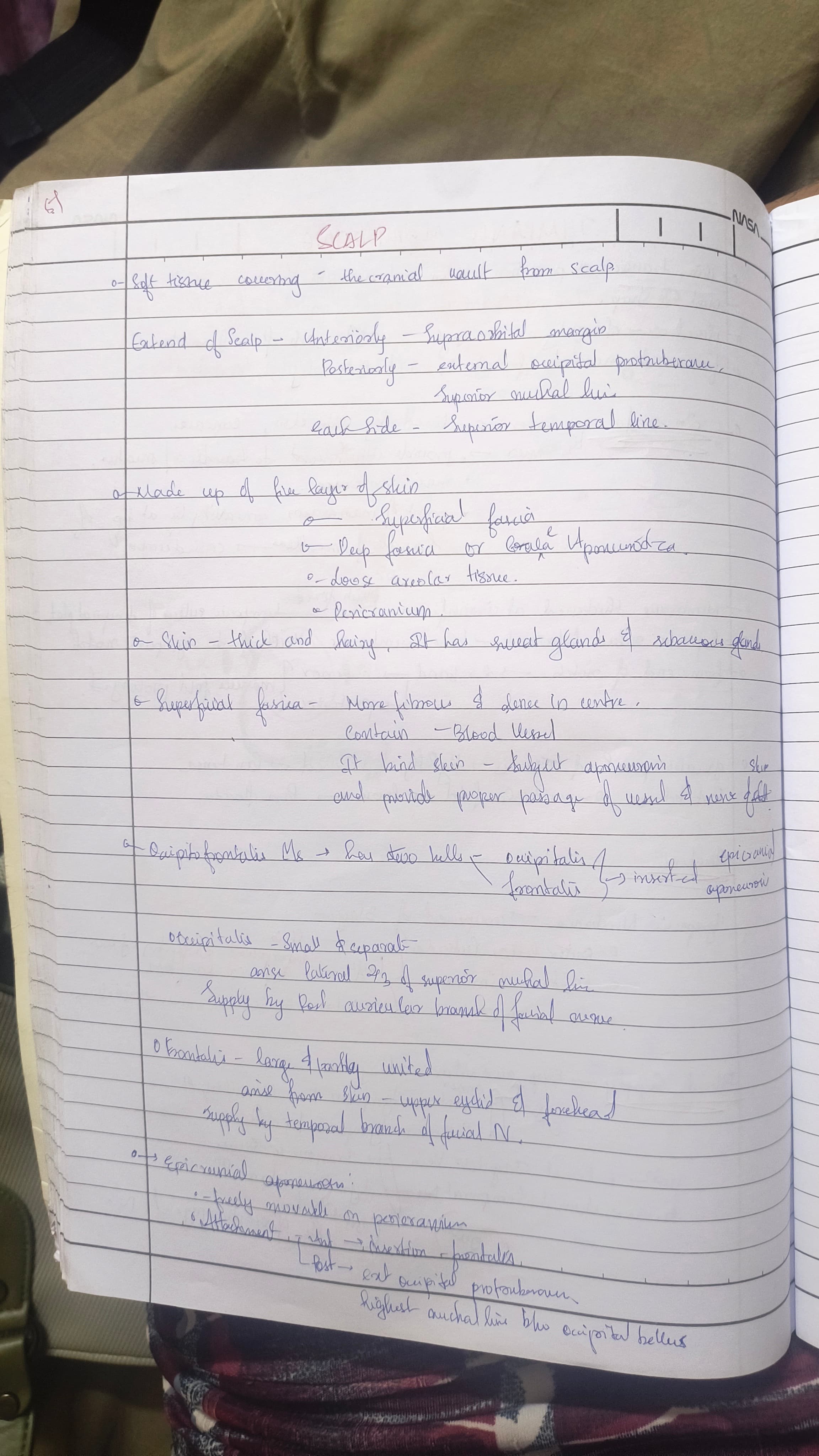 Scalp - Slide 1