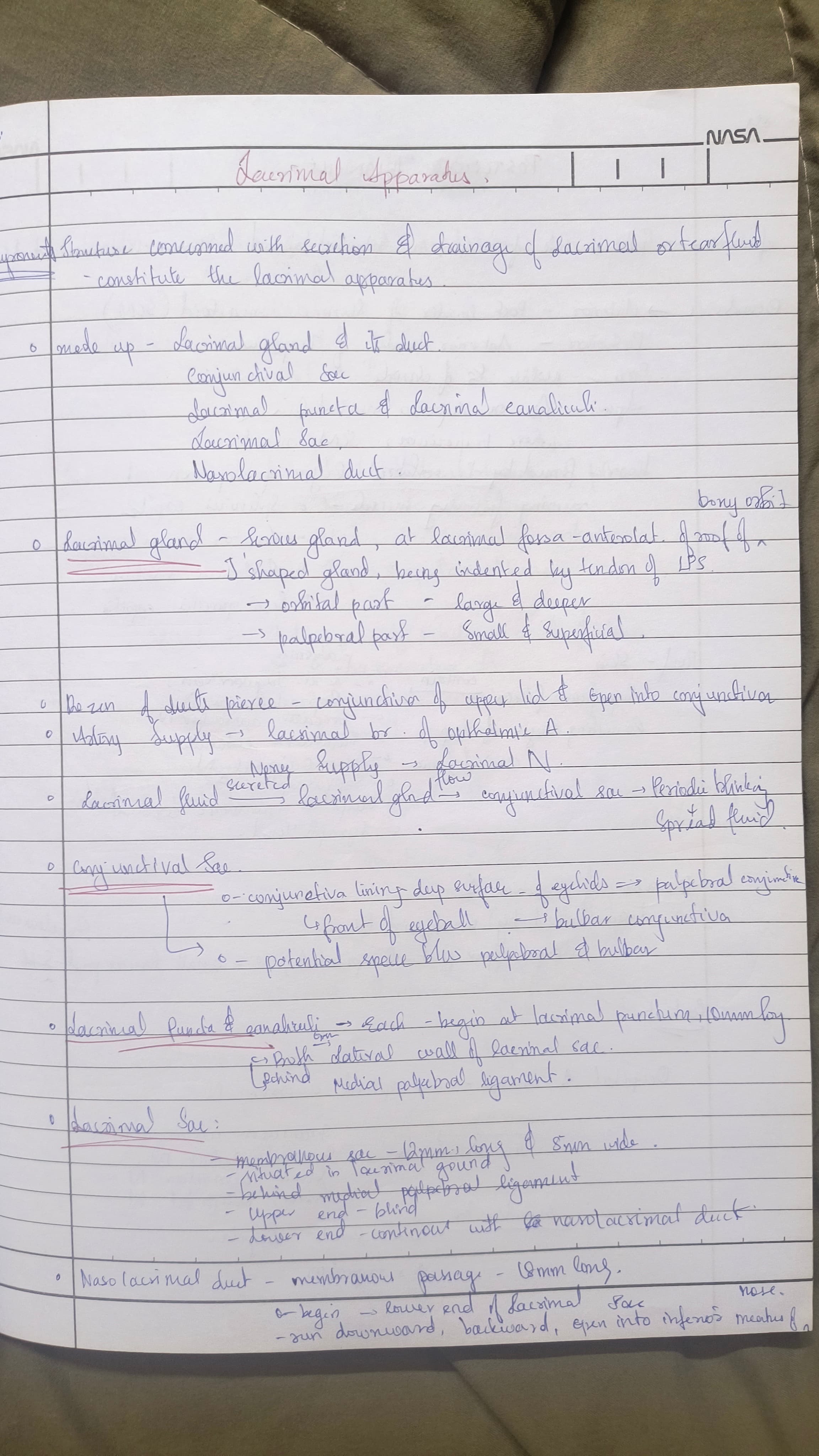 Lacrimal apparatus 