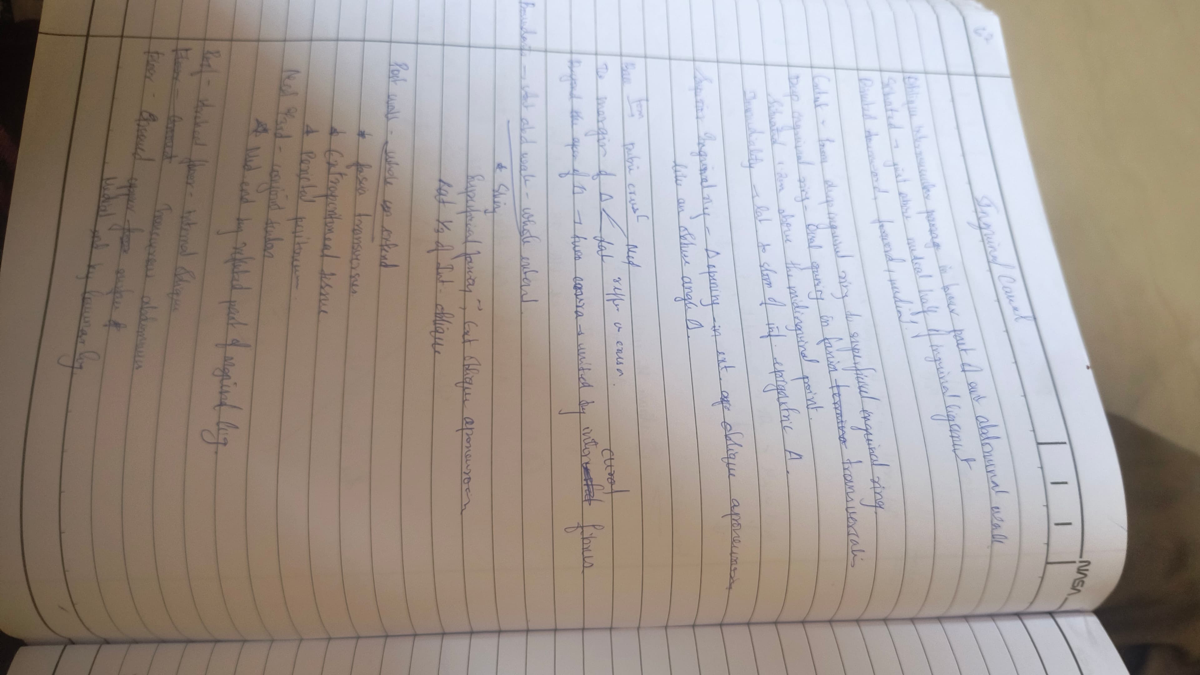 Inguinal canal - Slide 1