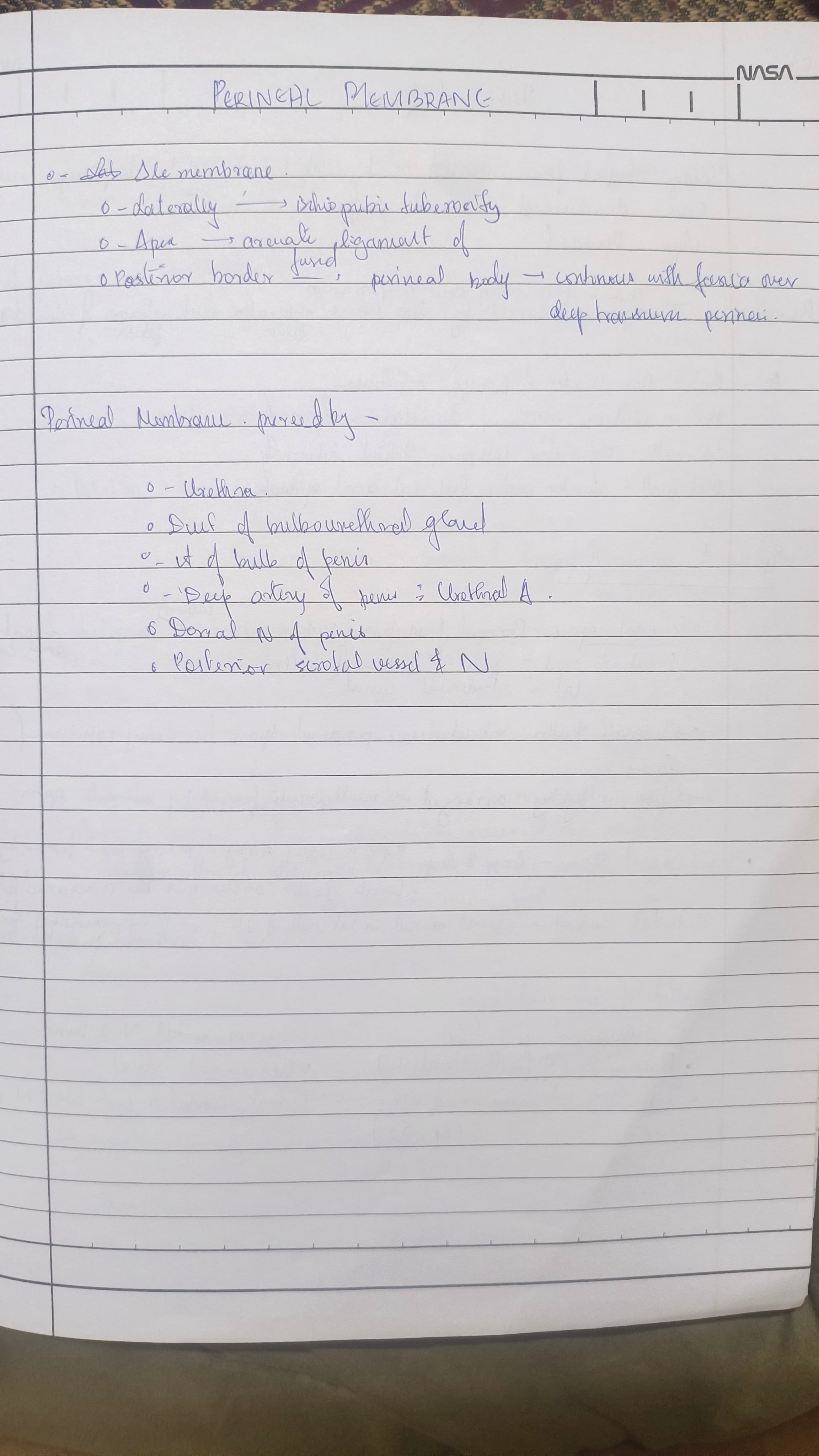 Perineal membrane