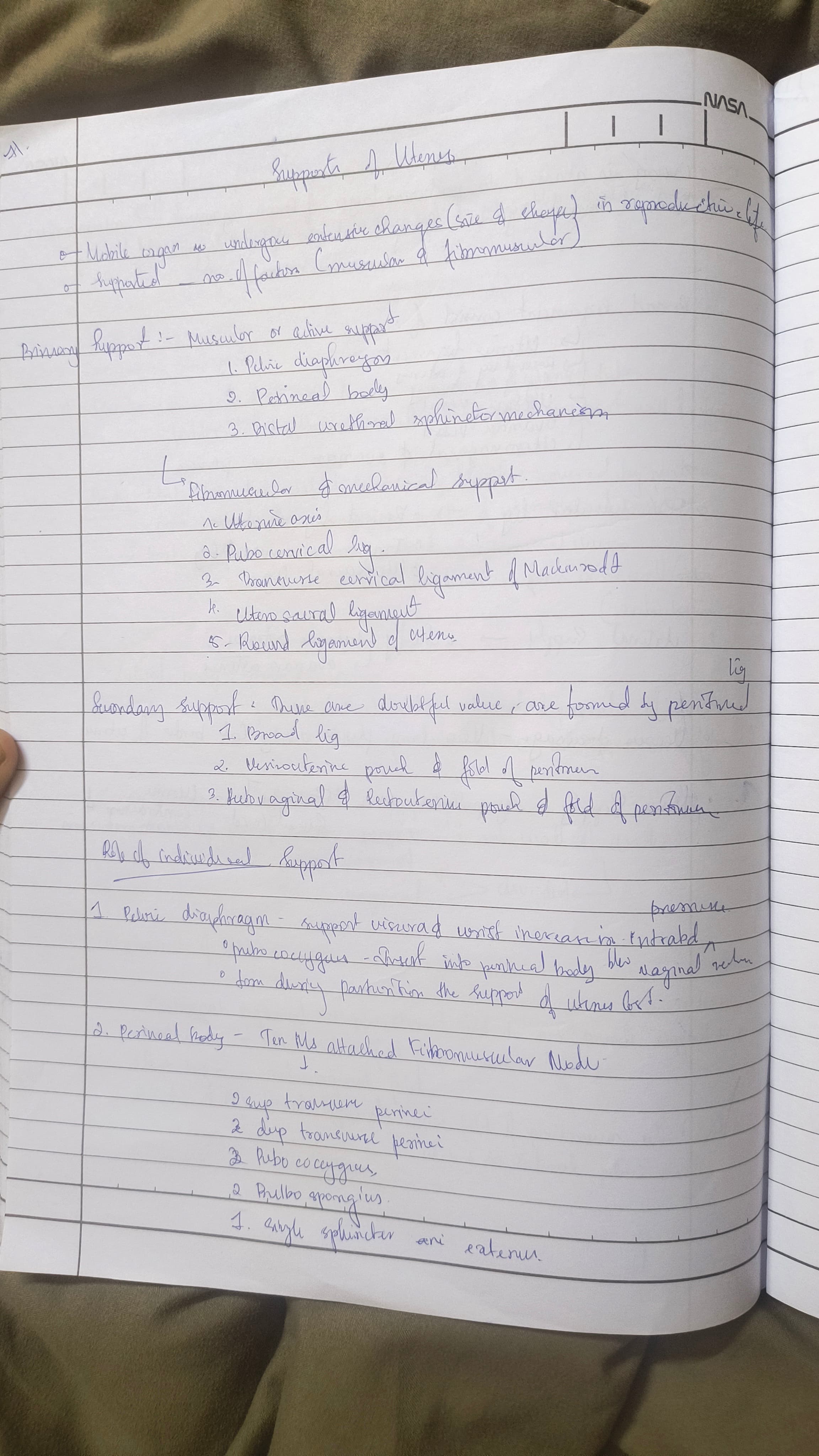 Supports of uterus  - Slide 1
