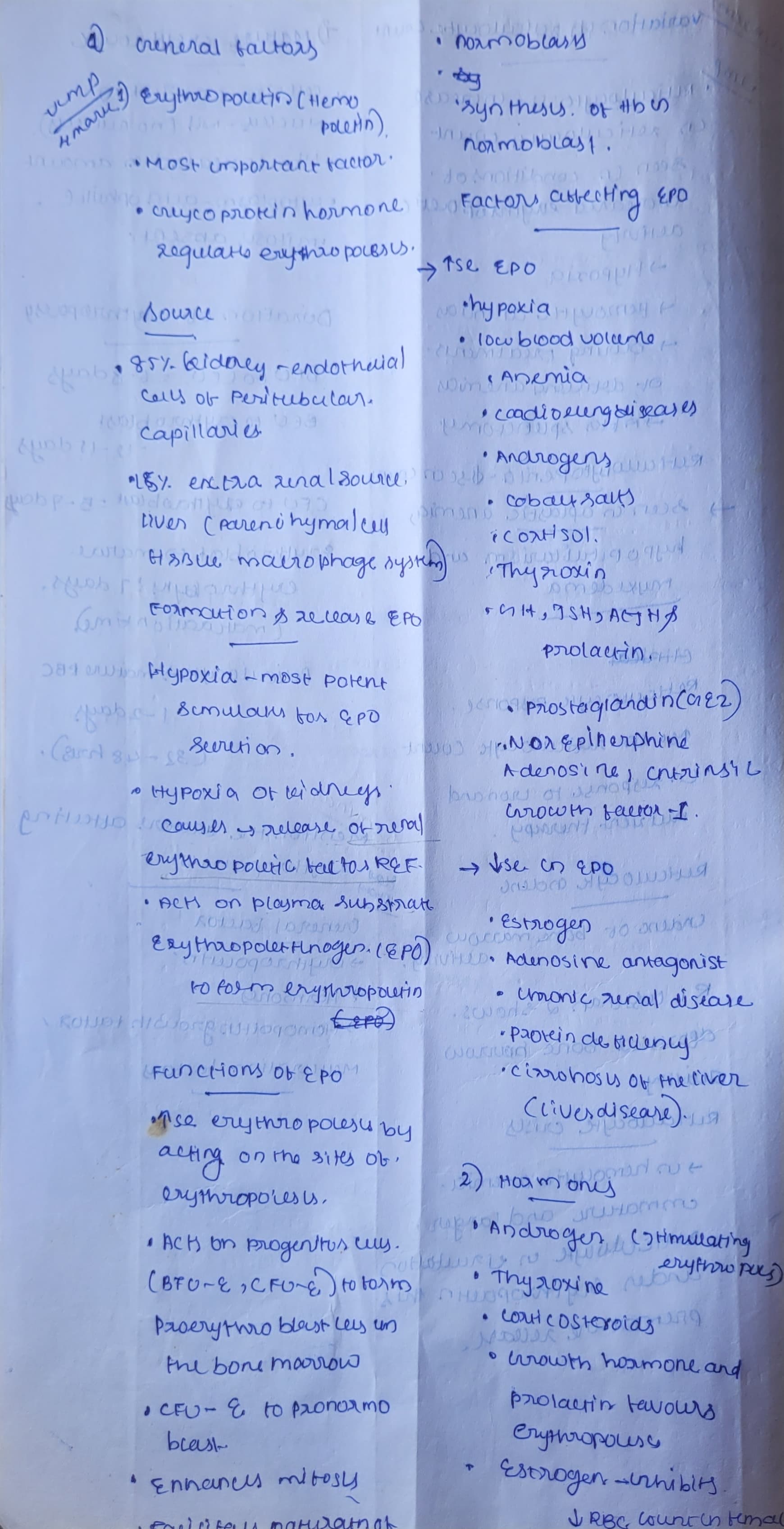 Factors affecting eeythropoiesis - Slide 1