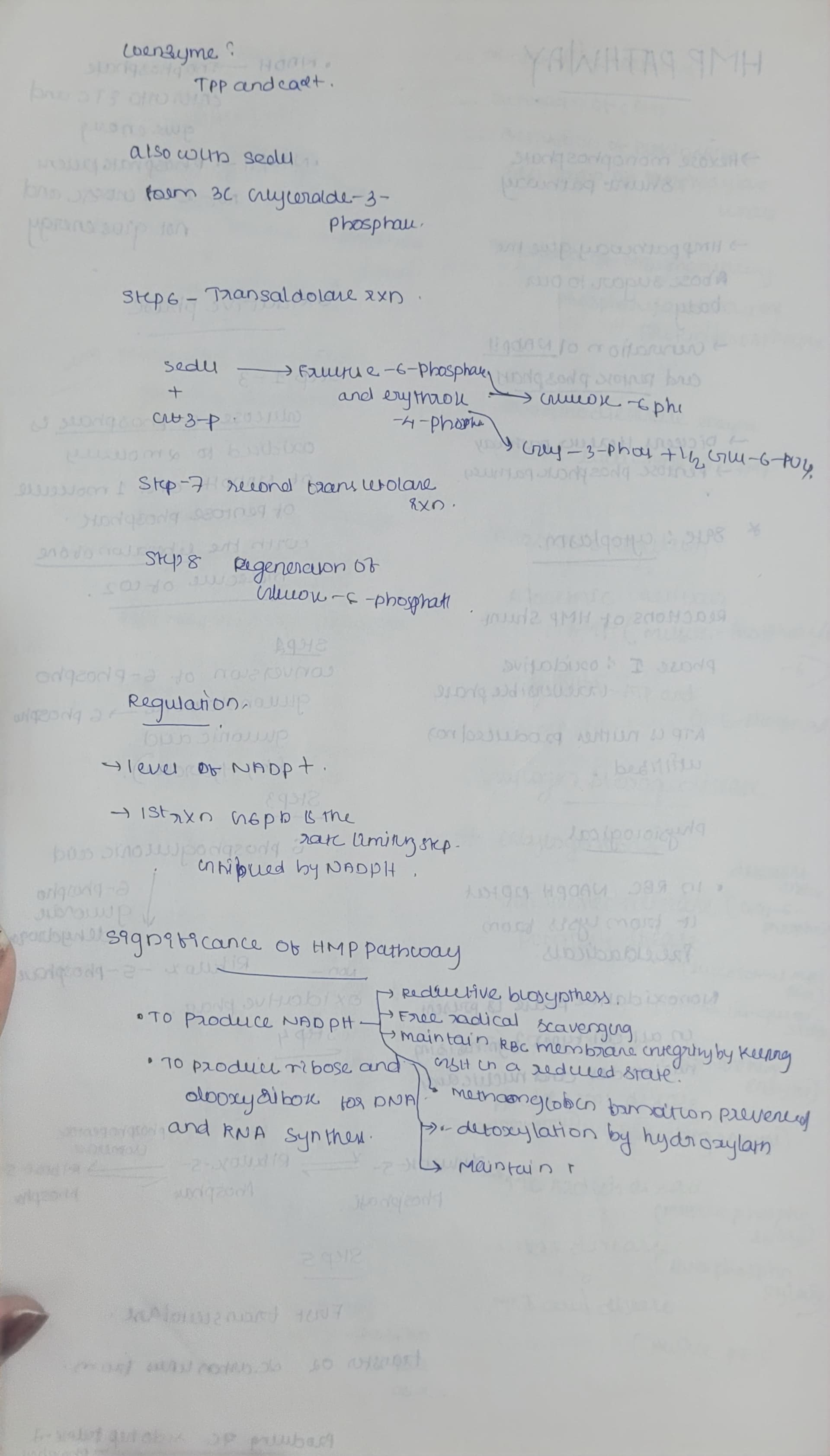 Clinical enzymology - Slide 1