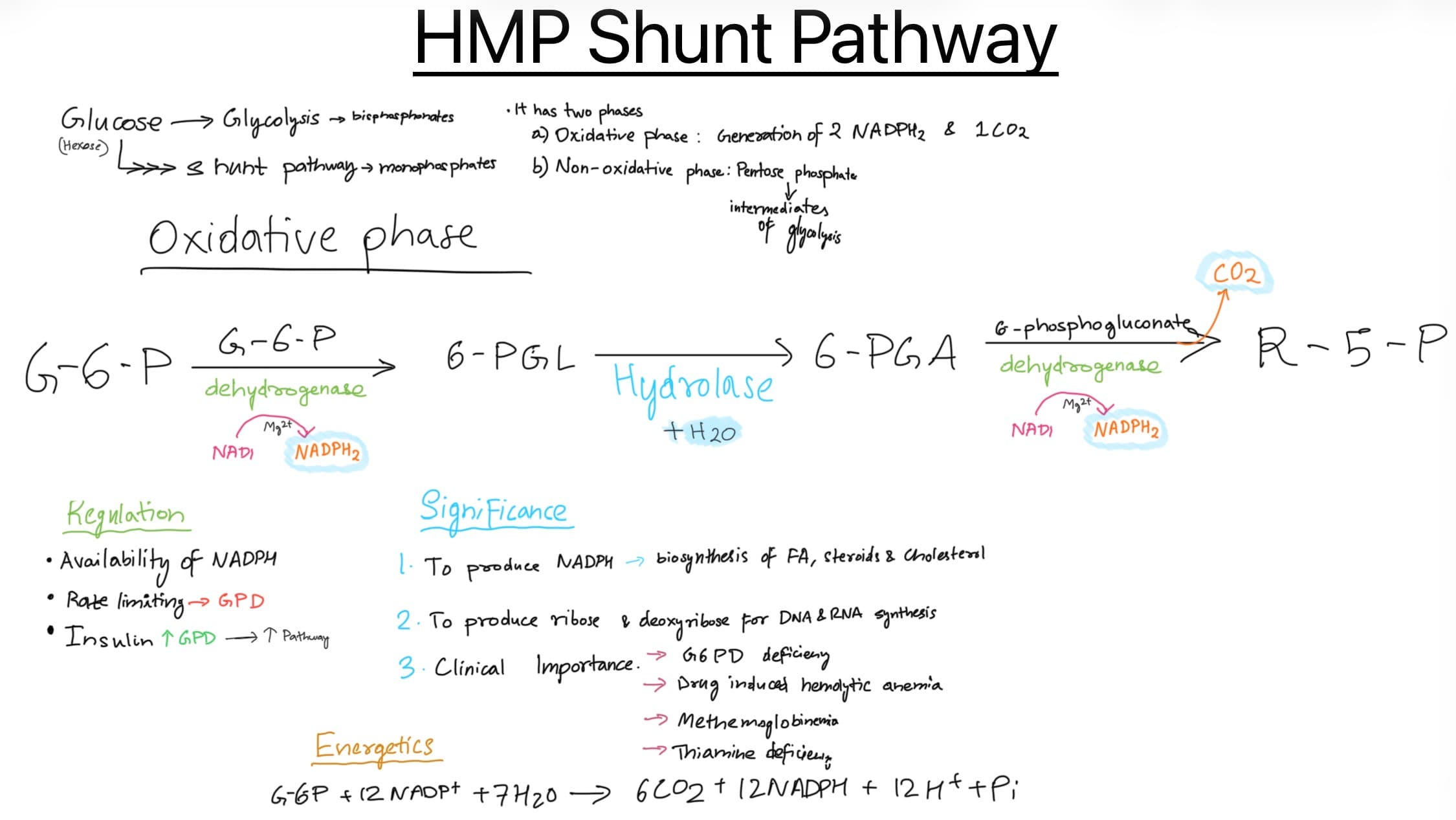 HMP shunt pathway biochem 