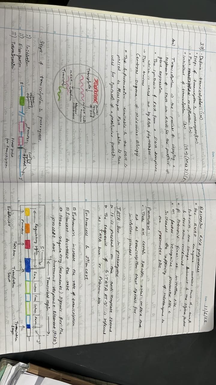 Transcription Biochemistry  - Slide 1