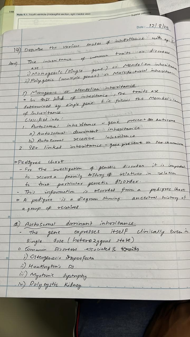 Genetics - Modes of Inheritance  - Slide 1