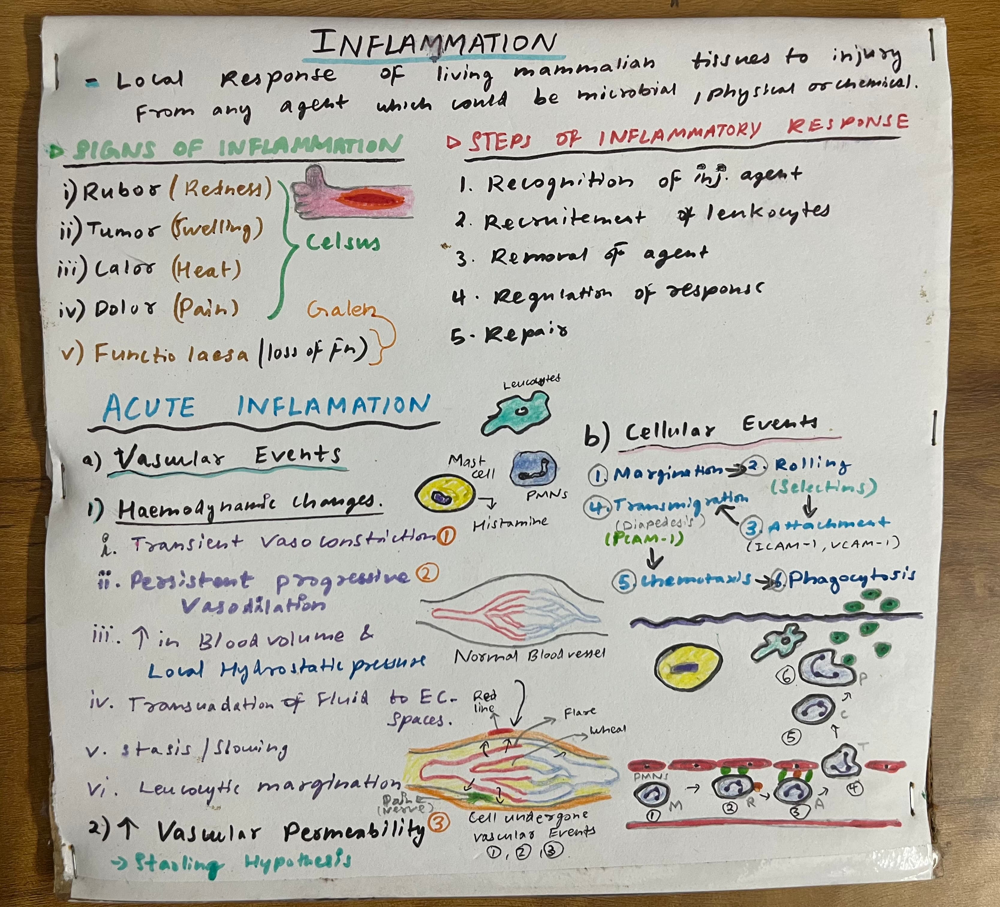 Inflammation notes  - Slide 1
