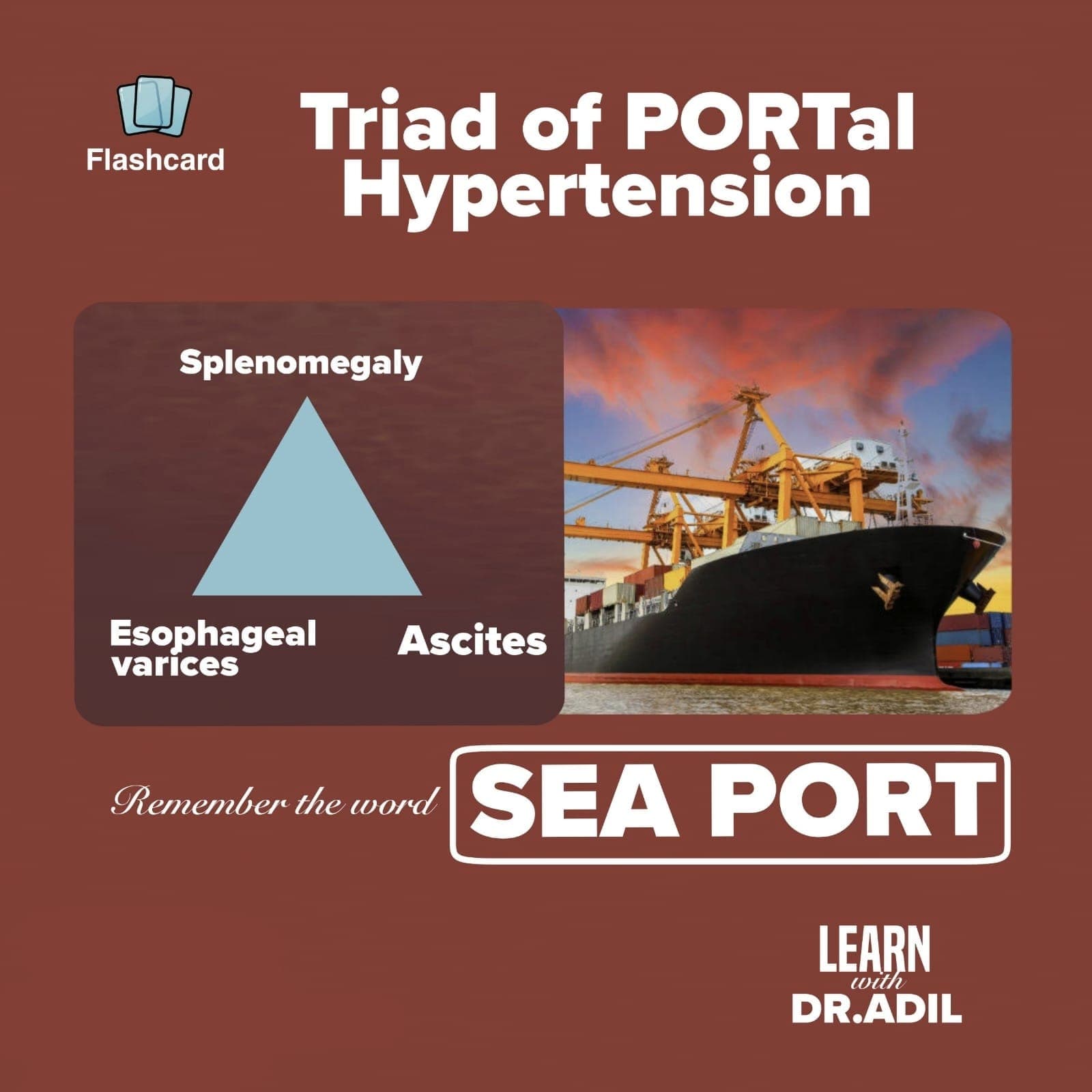 Portal hypertension flashcard 