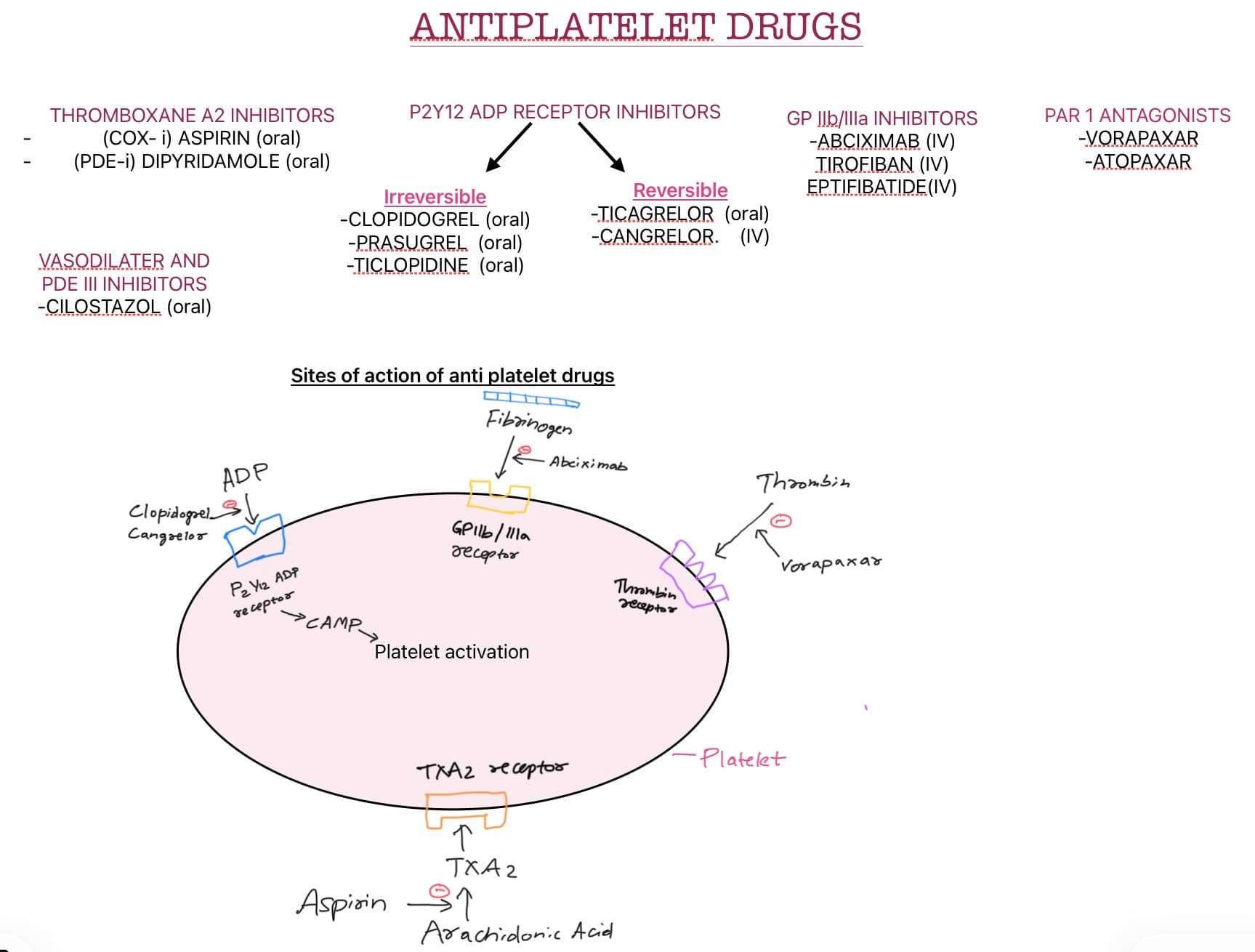 Anti Platelet Drugs 