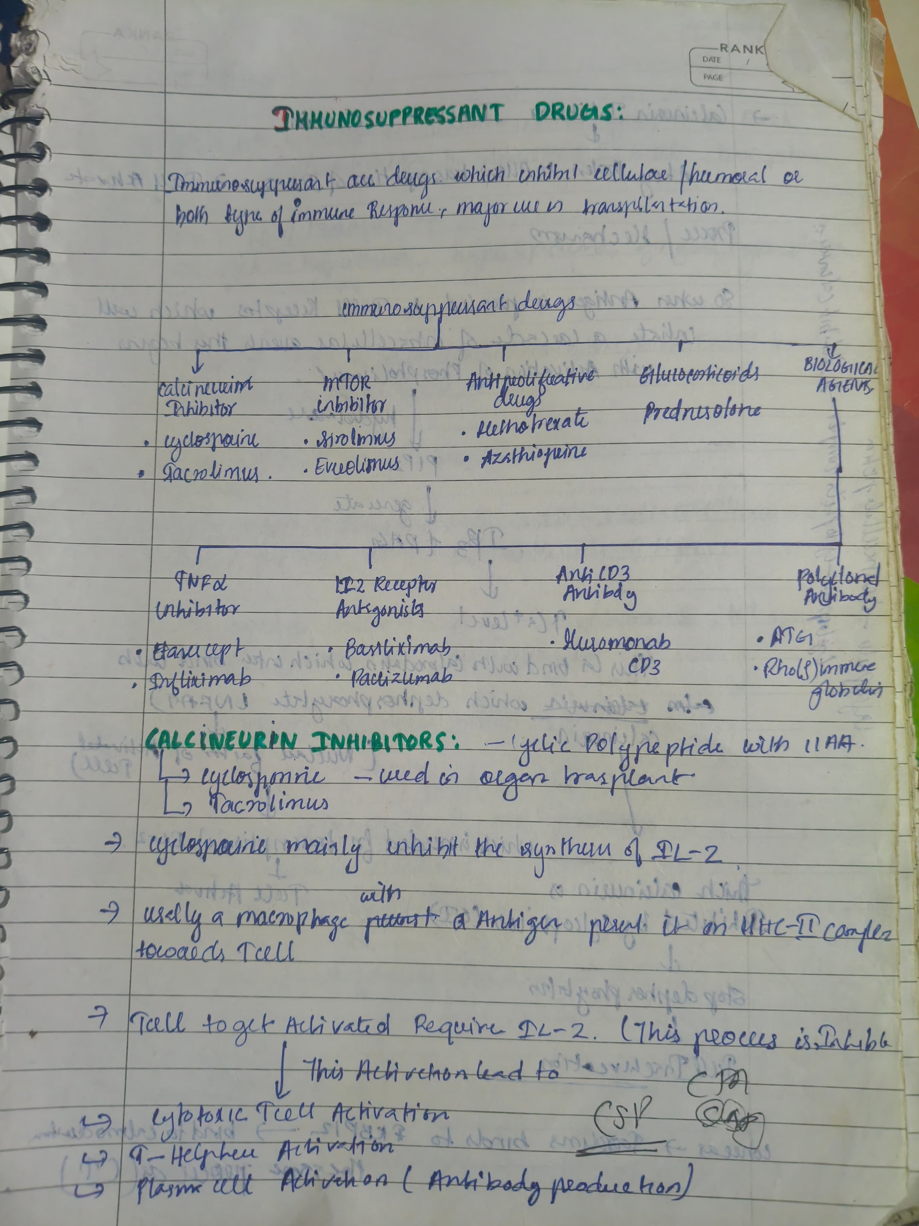 Immunosuppressants  - Slide 1