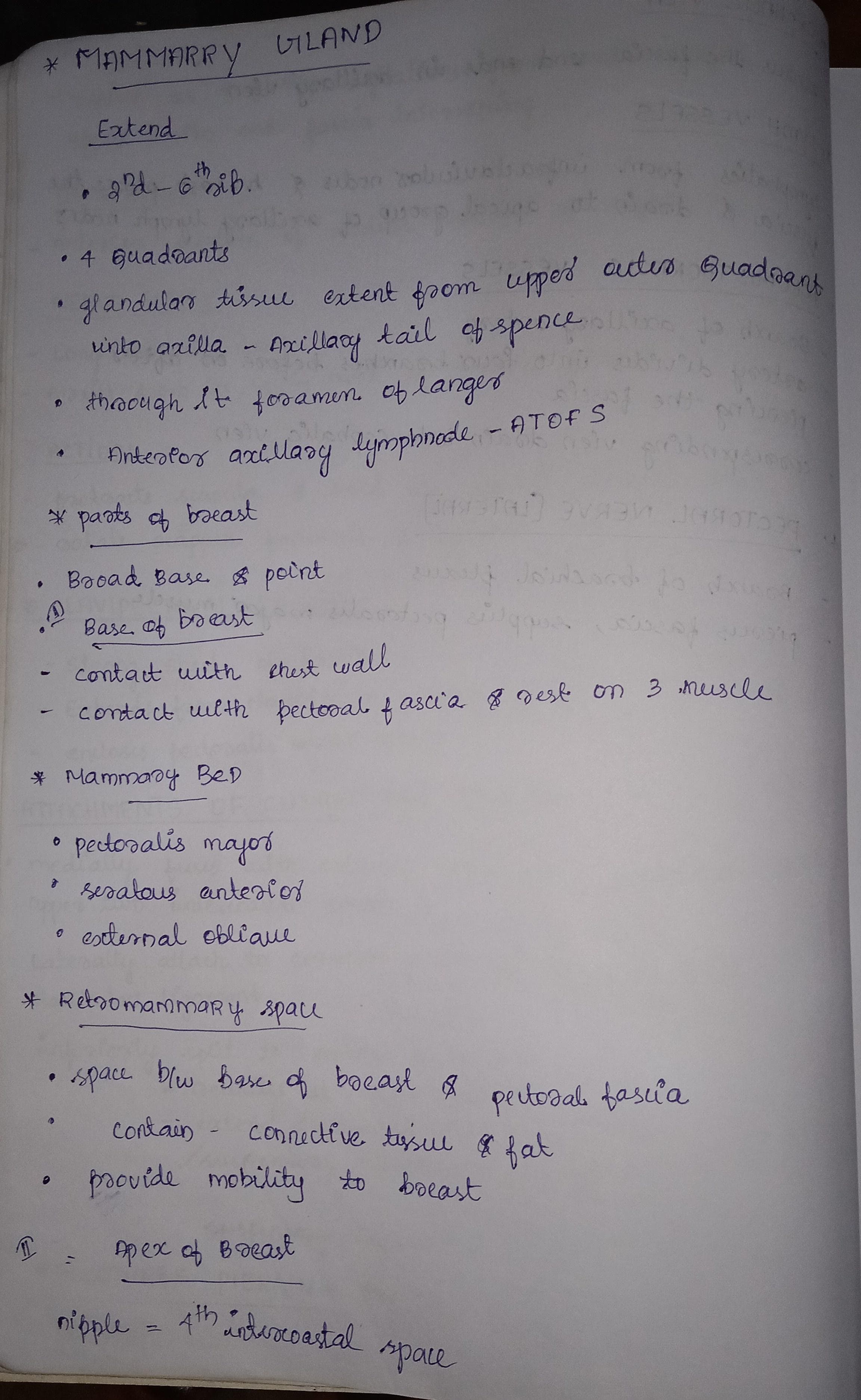 Mammary gland - Slide 1