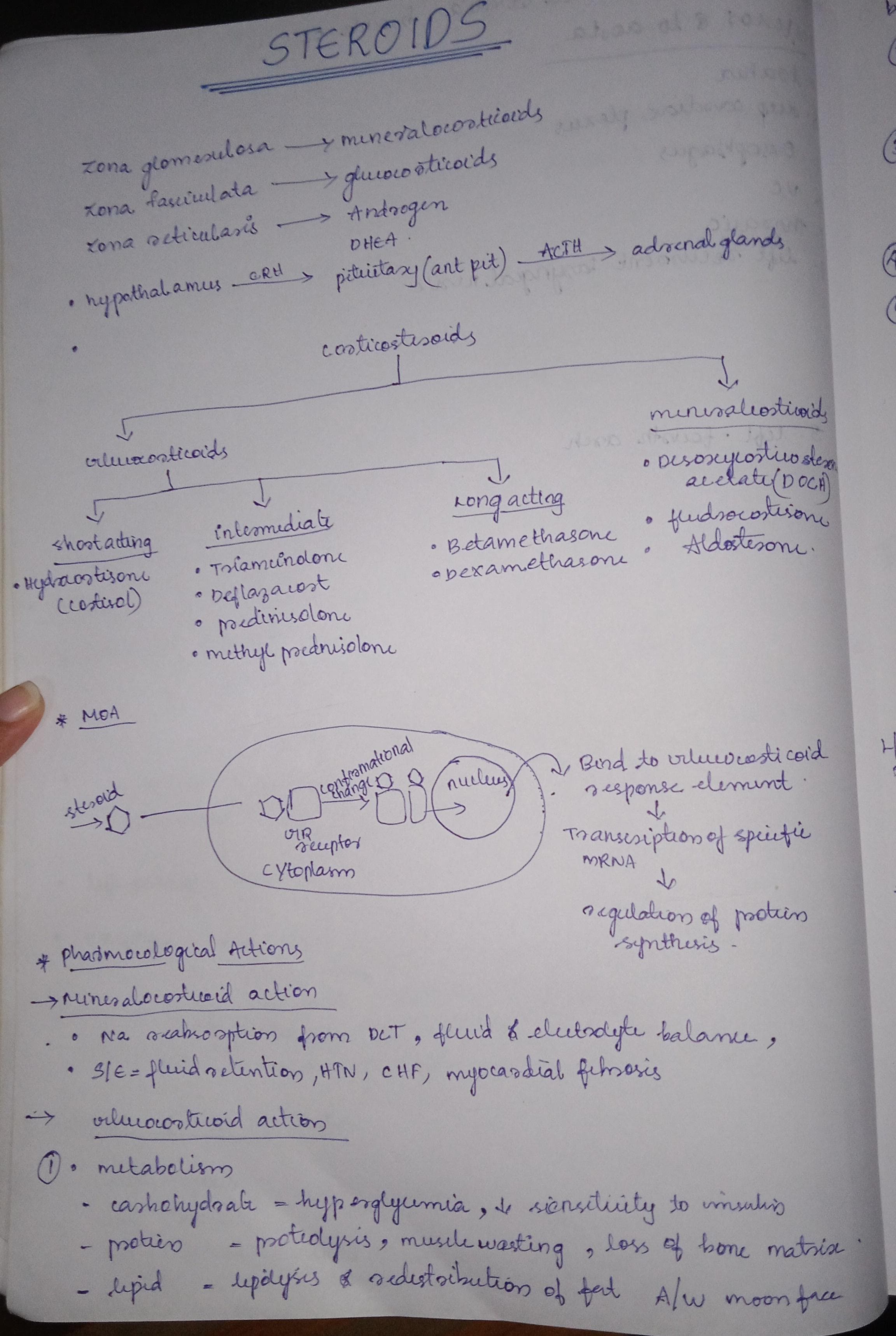 Steroids - Slide 1