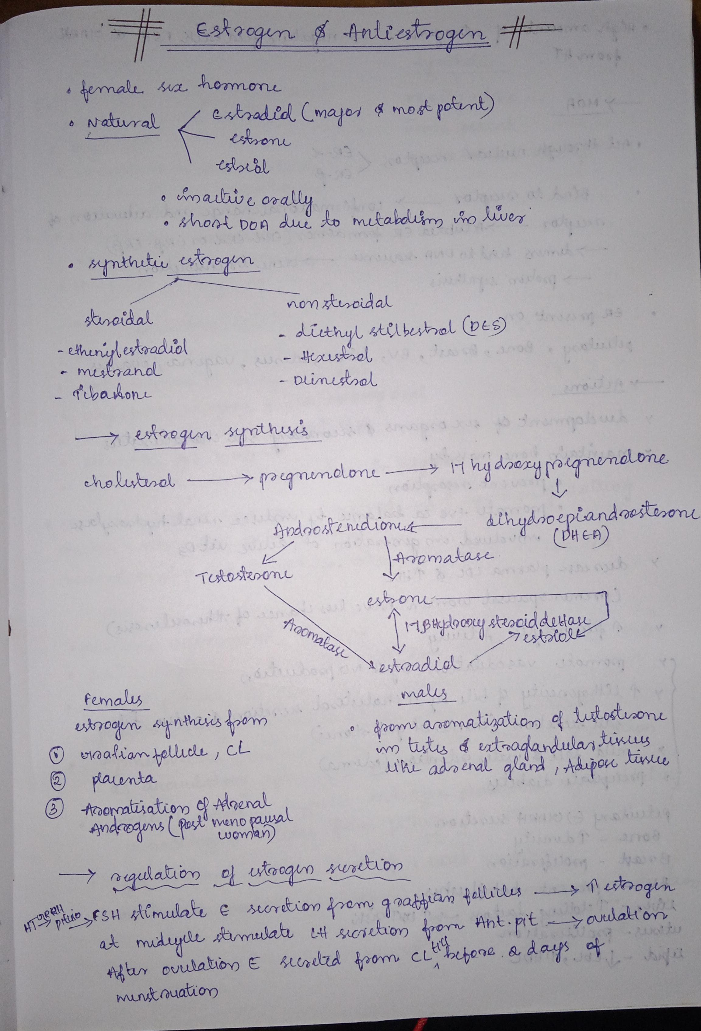 Estrogen and antiestrogen - Slide 1