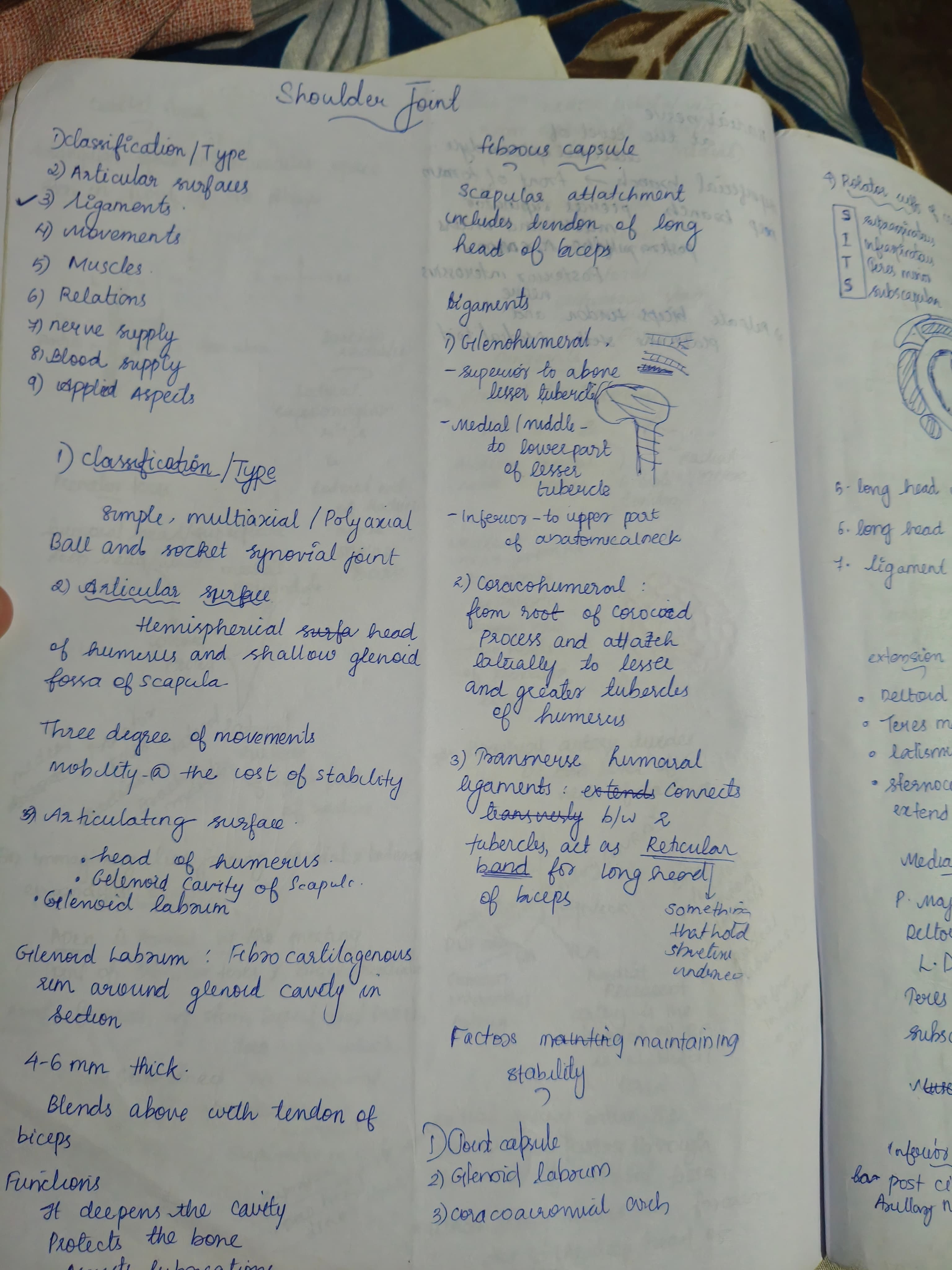 Shoulder joint  - Slide 1