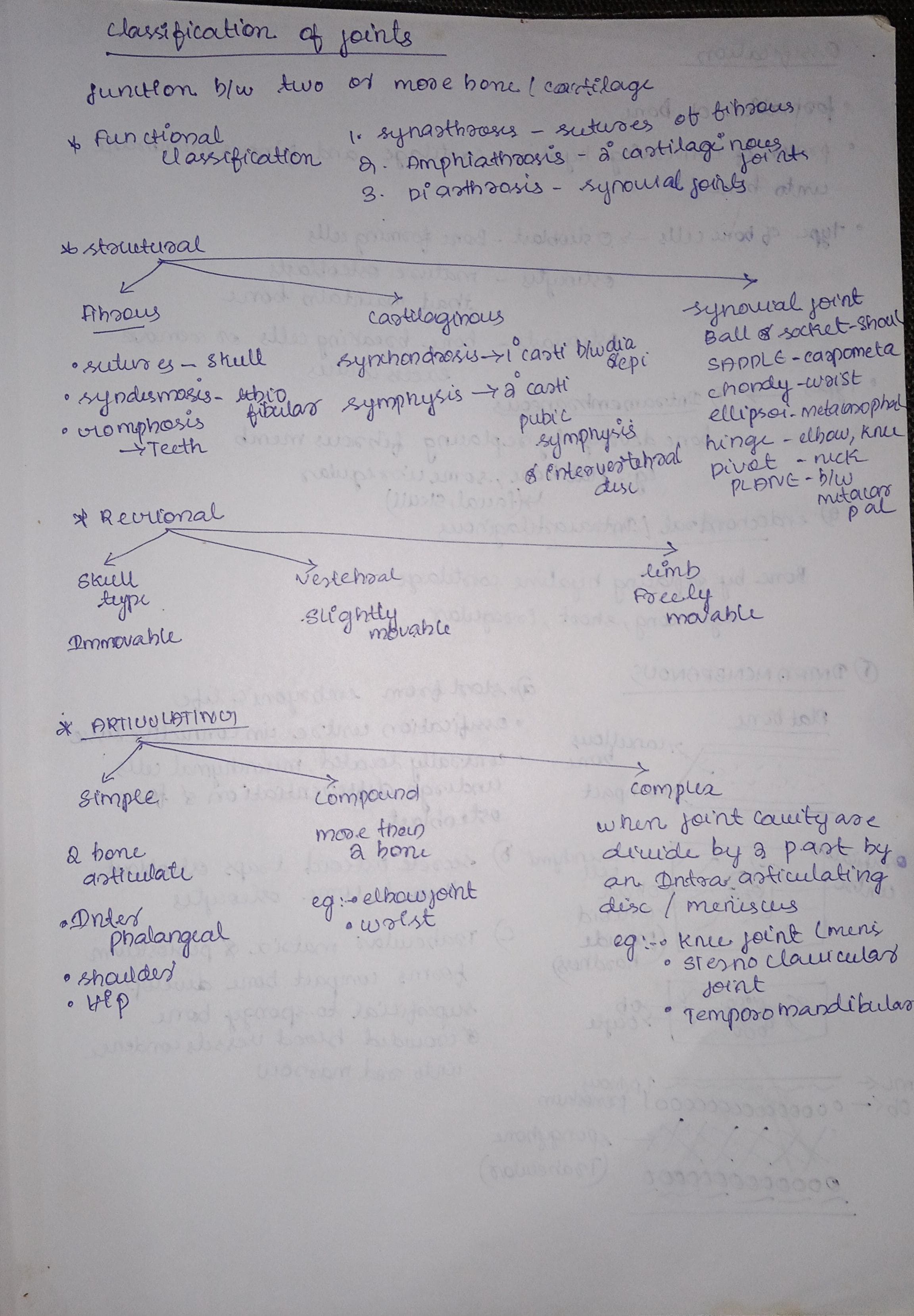 Classification 