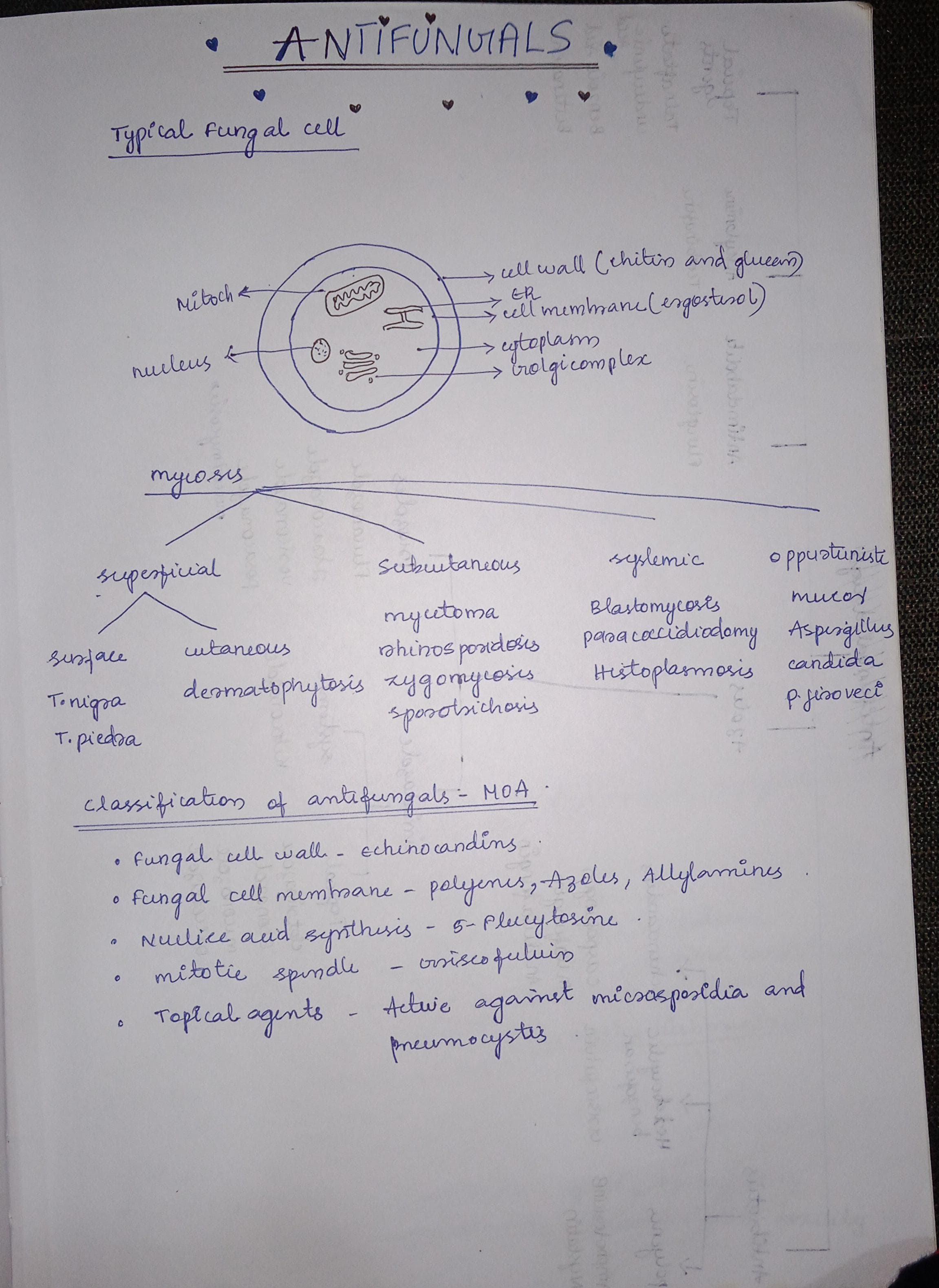 Antifungal  - Slide 1