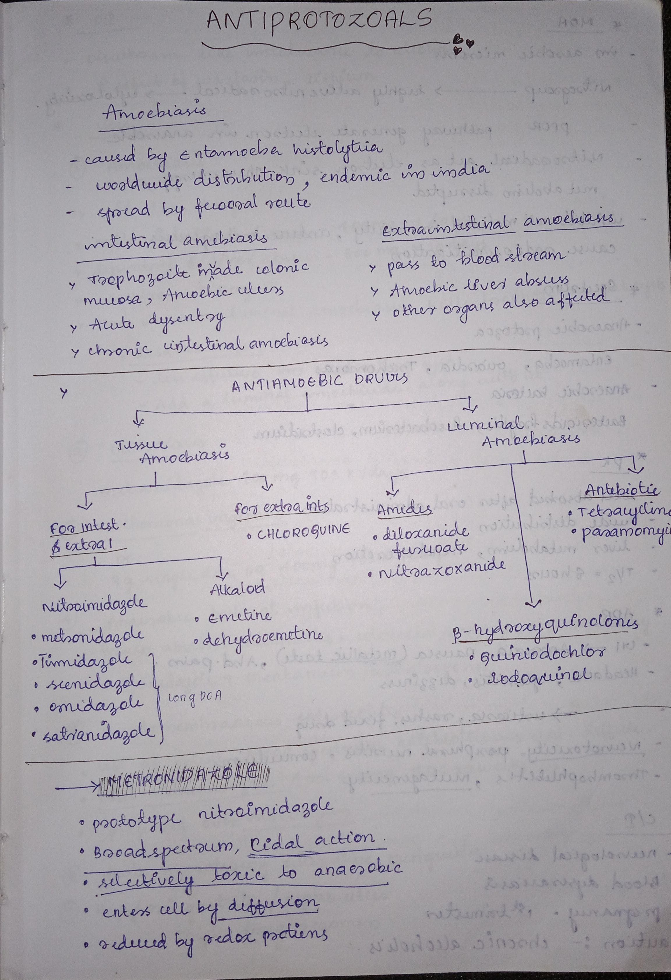 Antiprotozoals - Slide 1