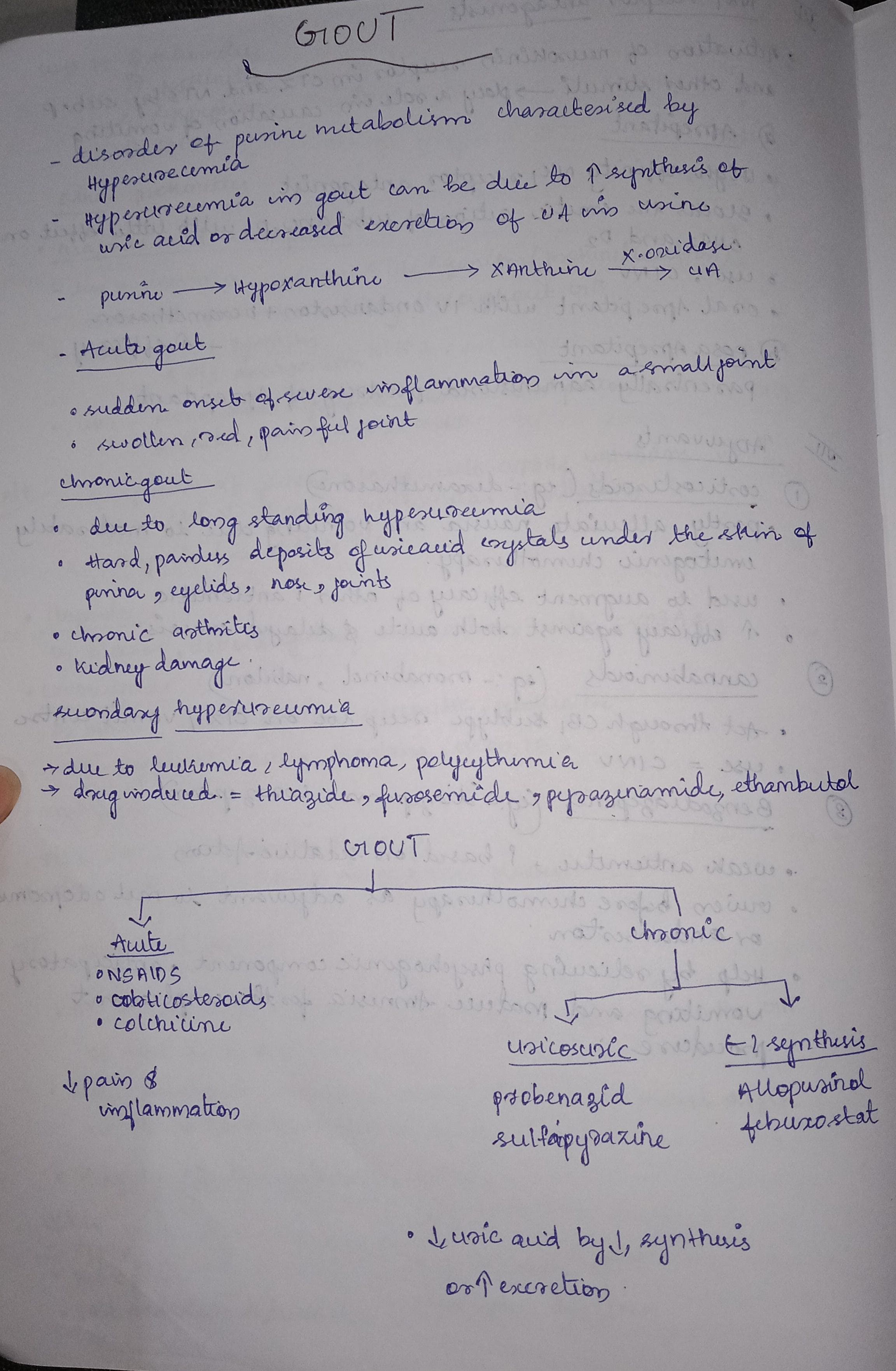 Gout - Slide 1