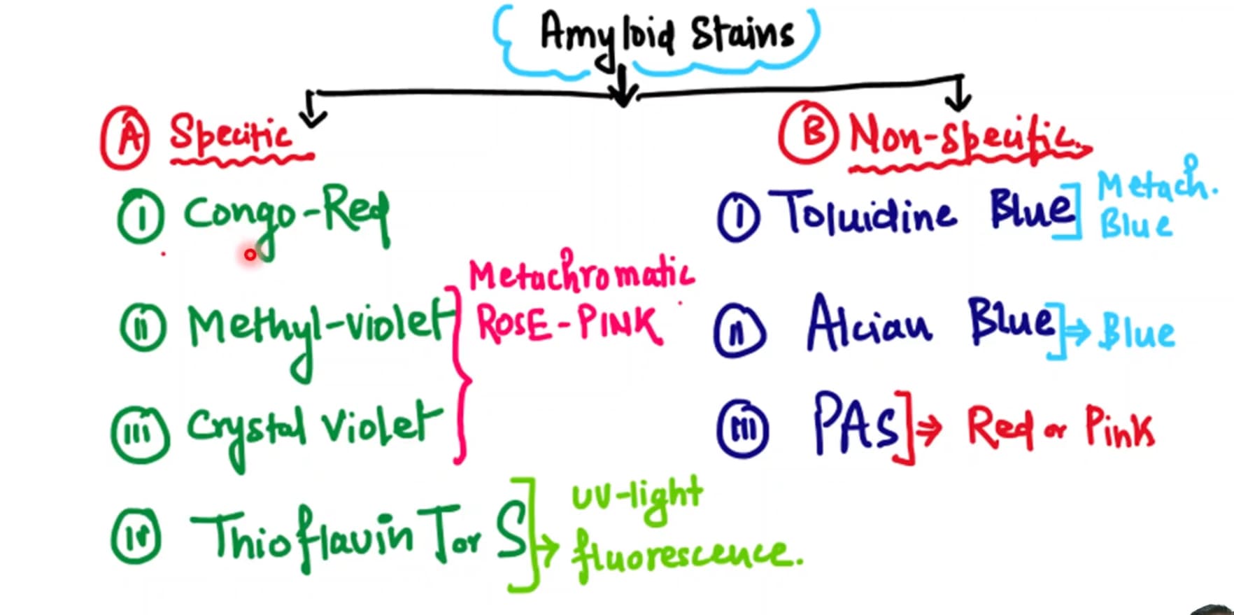 Amyloid stains notes