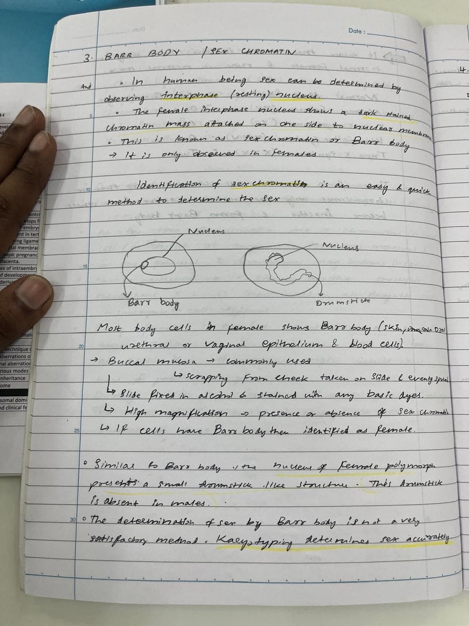 Genetics - Barr body & Sex chromatin