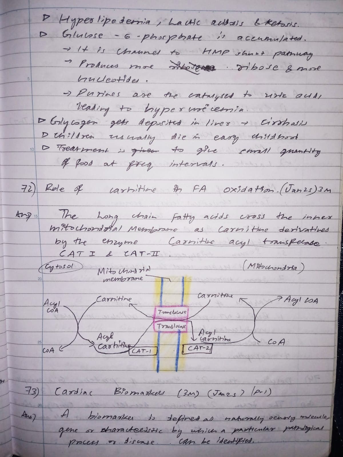 Carnitine Shuttle Biochemistry